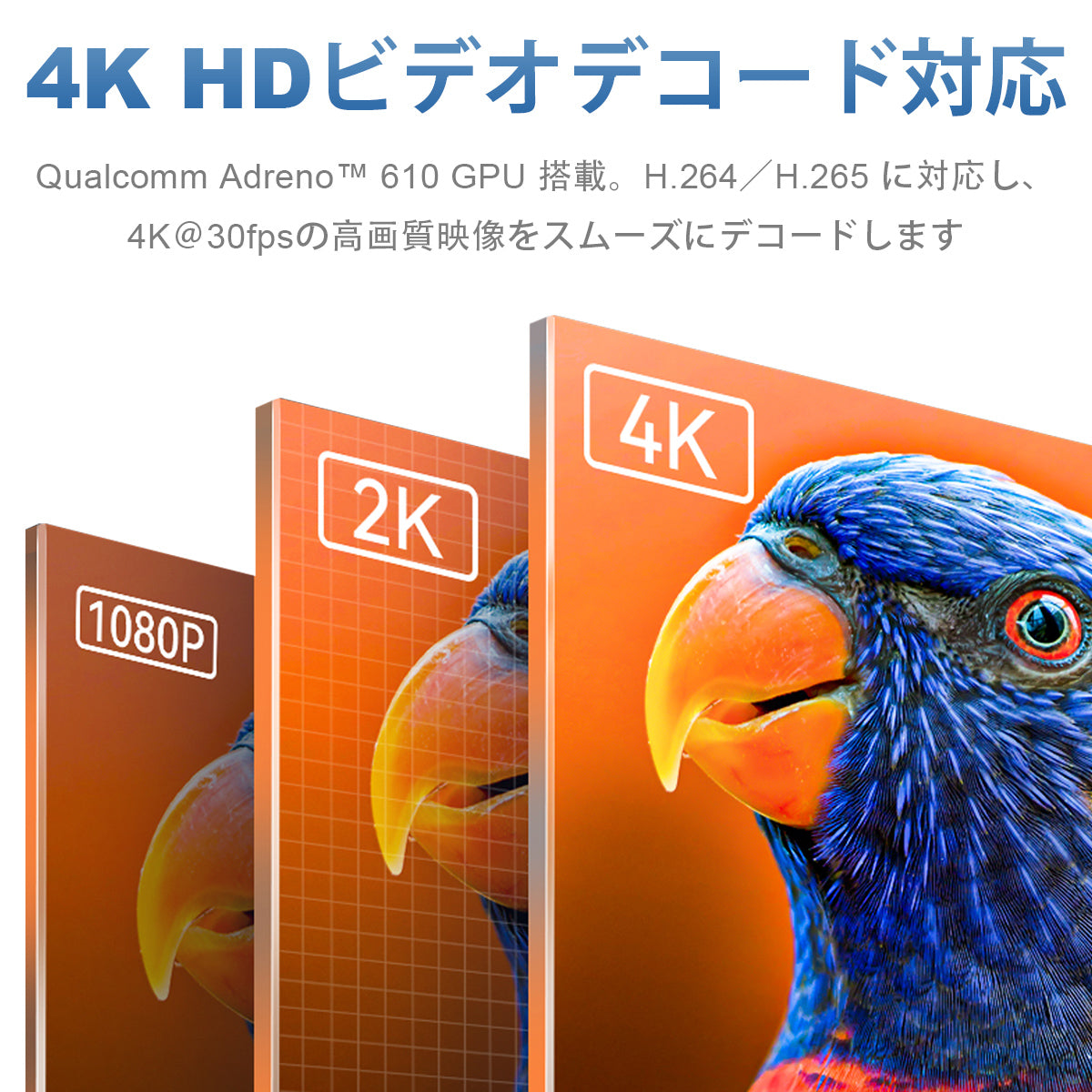 4K HD video decoding with Qualcomm Adreno 610 GPU, supporting H.264 and H.265 at 30fps.